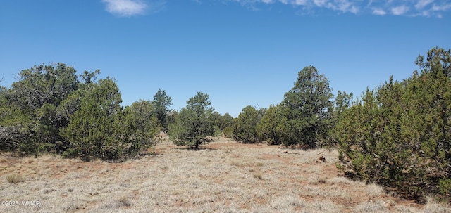 17 County Road 8077, Concho, AZ 85924 - photo 17