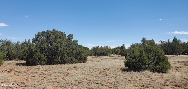 17 County Road 8077, Concho, AZ 85924 - photo 9
