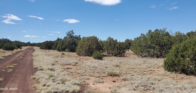 17 County Road 8077, Concho, AZ 85924 - photo 3