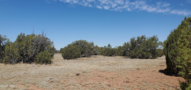 17 County Road 8077, Concho, AZ 85924 - photo 10