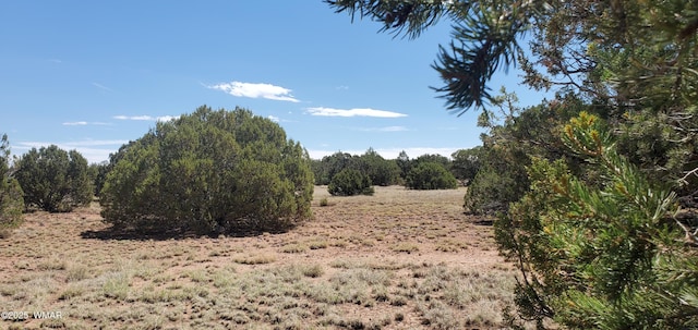 17 County Road 8077, Concho, AZ 85924 - photo 14