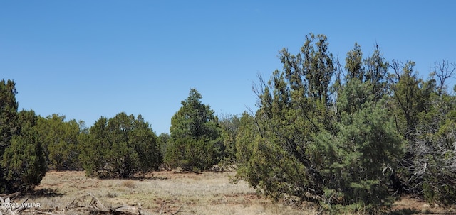 17 County Road 8077, Concho, AZ 85924 - photo 4