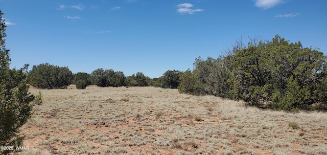17 County Road 8077, Concho, AZ 85924 - photo 12