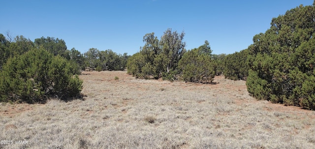 17 County Road 8077, Concho, AZ 85924 - photo 2