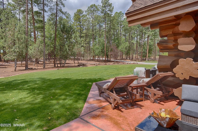 view of yard featuring a patio area