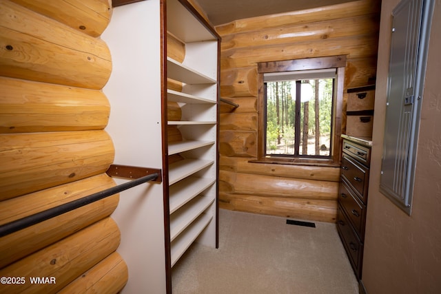 spacious closet with carpet