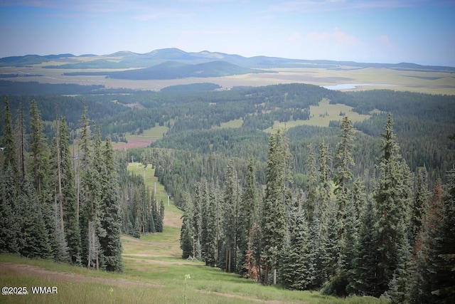 property view of mountains with a view of trees