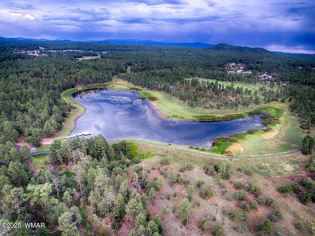 aerial view featuring a forest view and a water and mountain view