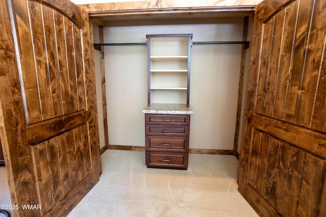 spacious closet with light colored carpet