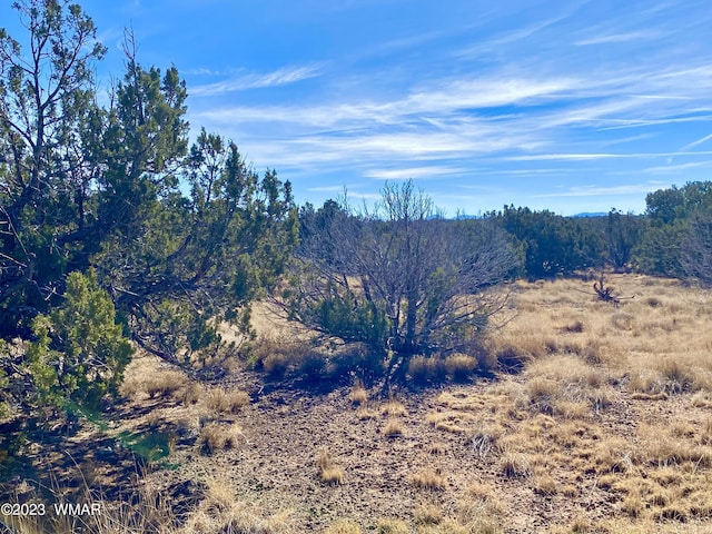 Listing photo 3 for TBD County Road 8305, Concho AZ 85924