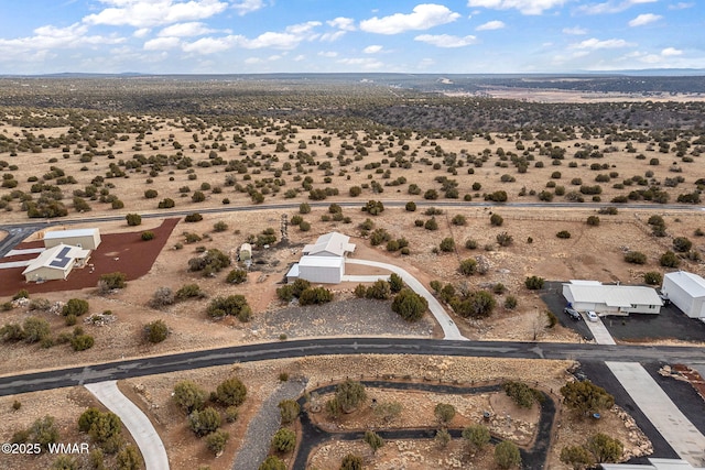 drone / aerial view with a desert view