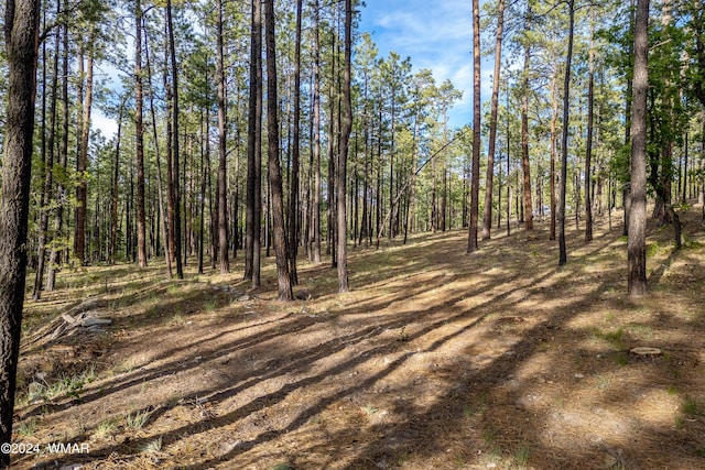 15 County Road 2083, Alpine AZ, 85920 land for sale