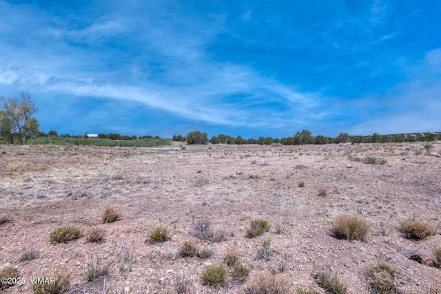 LotDTBD Huggins, Show Low, AZ 85901 - photo 12