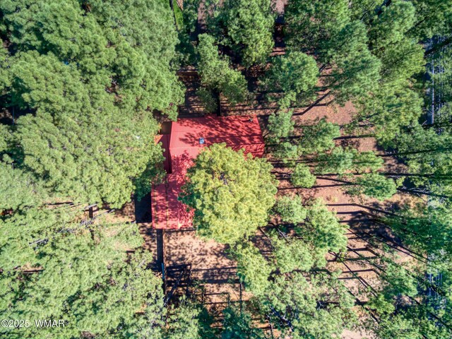 8220 Wild Horse Rd, Pinetop, AZ 85935 - photo 7