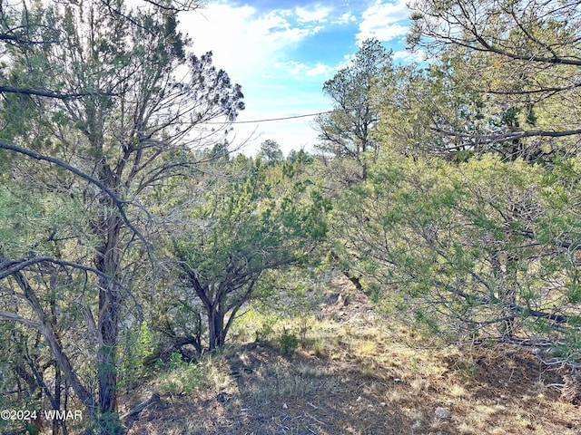 3403 Top View Rd, Overgaard, AZ 85933 - view of wooded area