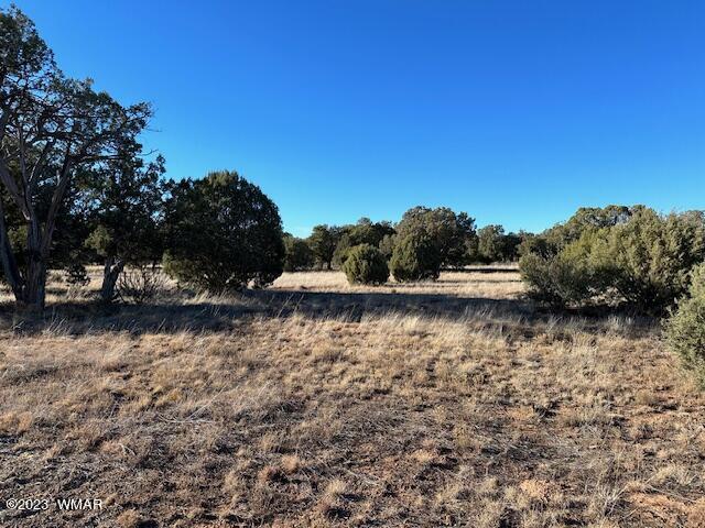 Listing photo 3 for 13 Lone Pine Dam Rd, Show Low AZ 85901