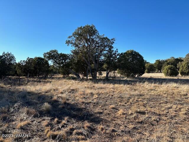 Listing photo 2 for 13 Lone Pine Dam Rd, Show Low AZ 85901