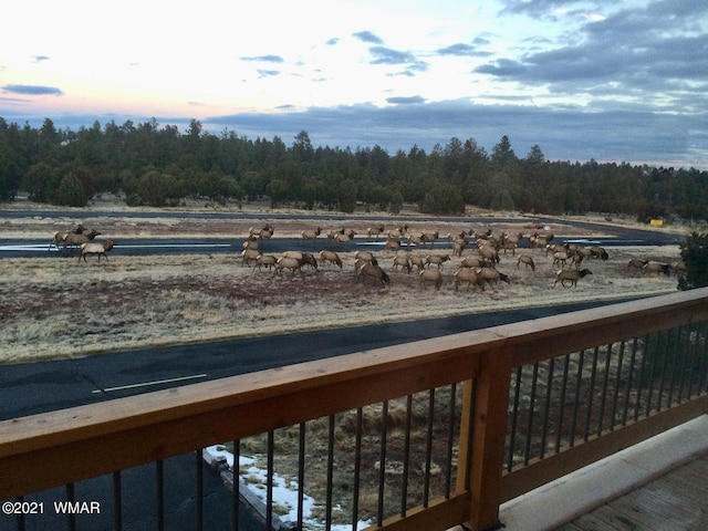 2344 Hellcat Cir, Overgaard, AZ 85933 - deck at dusk with a rural view