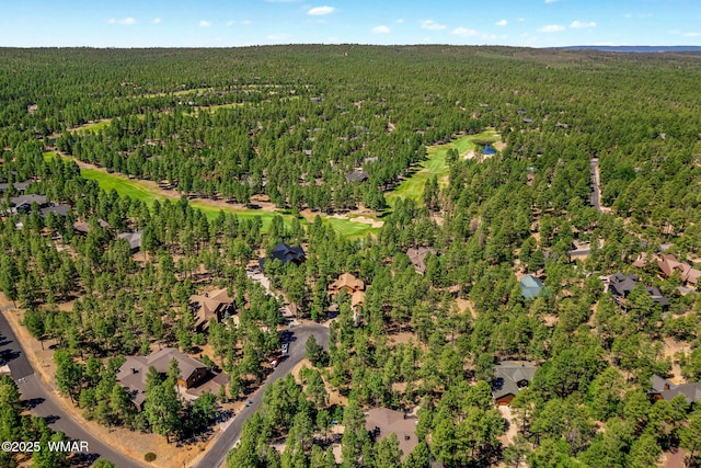 4040 W Ninebark Ln, Show Low, AZ 85901 - aerial view of property's location featuring a forest