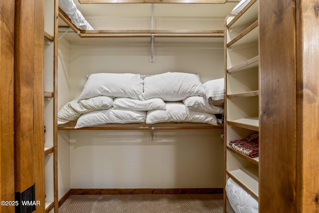 4040 W Ninebark Ln, Show Low, AZ 85901 - walk in closet featuring carpet flooring