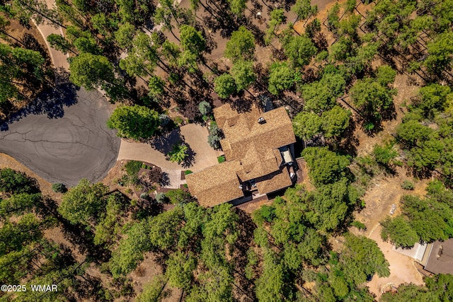 4040 W Ninebark Ln, Show Low, AZ 85901 - bird's eye view