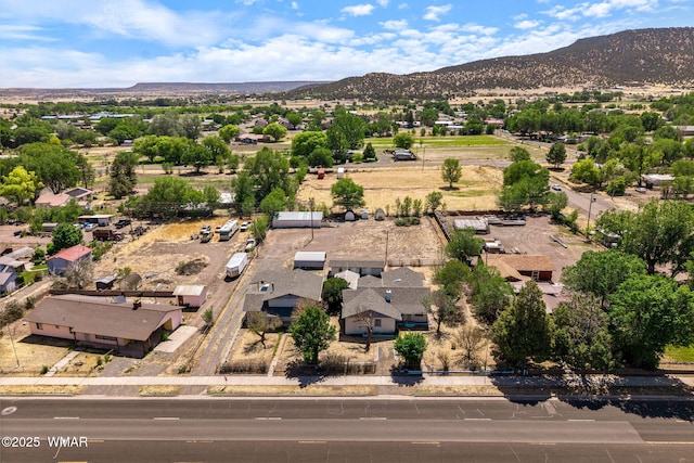 367 S Main St, Eagar, AZ 85925 - bird's eye view of mountains