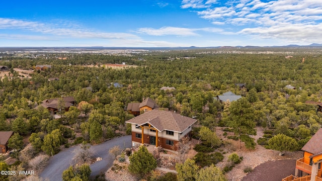 1511 S Canyon Ridge Trl, Show Low, AZ 85901 - aerial view of a forest
