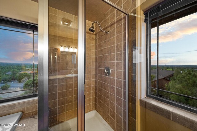 1511 S Canyon Ridge Trl, Show Low, AZ 85901 - bathroom with a stall shower
