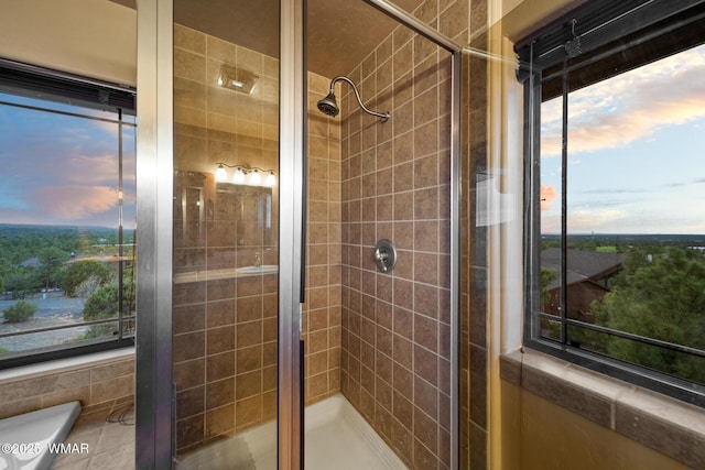 1511 S Canyon Ridge Trl, Show Low, AZ 85901 - bathroom with a stall shower