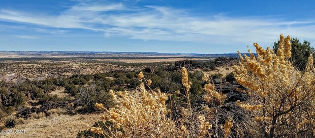 45 N6506, Saint Johns, AZ 85936 - photo 15