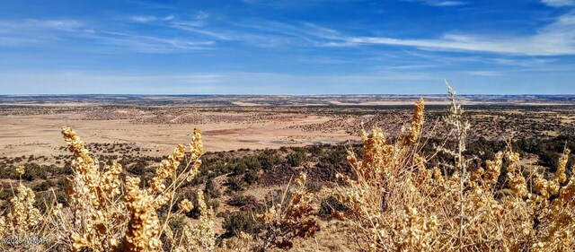 45 N6506, Saint Johns, AZ 85936 - photo 13