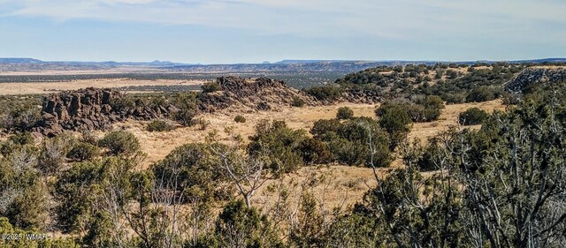 45 N6506, Saint Johns, AZ 85936 - photo 14