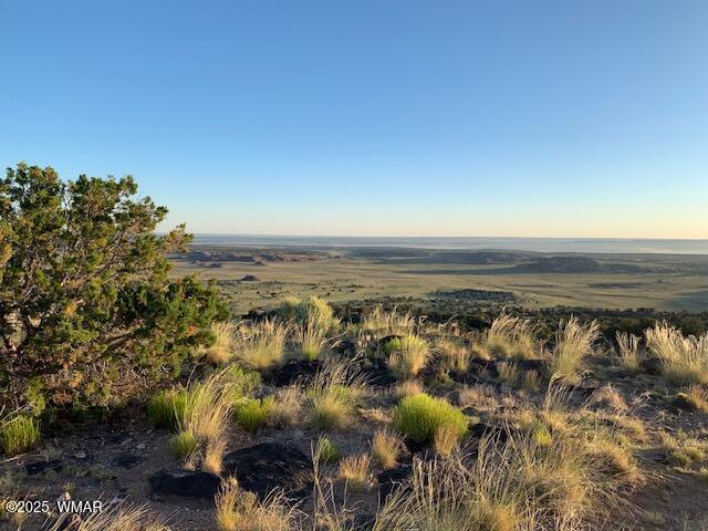 45 N6506, Saint Johns, AZ 85936 - photo 11