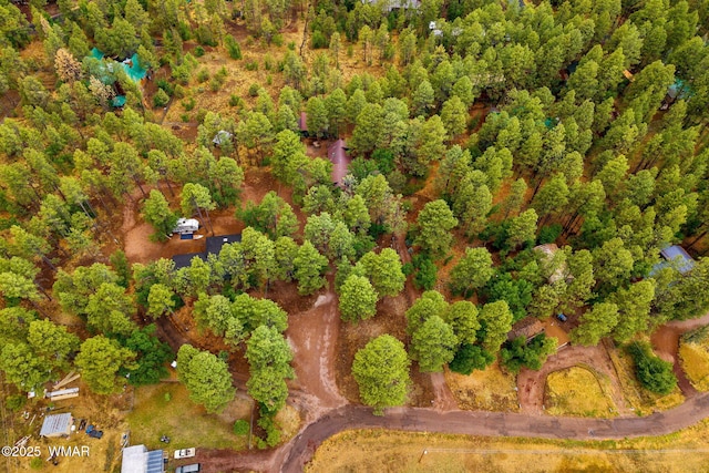 2444 S Jan Ln, Pinetop, AZ 85935 - aerial view of property's location