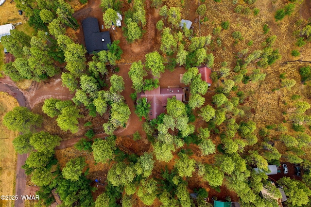 2444 S Jan Ln, Pinetop, AZ 85935 - aerial view of property's location