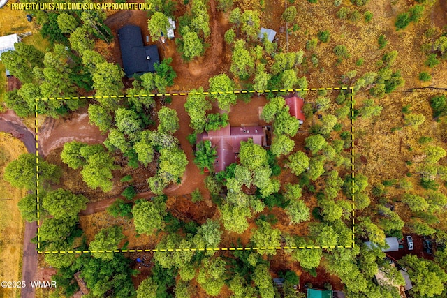 2444 S Jan Ln, Pinetop, AZ 85935 - bird's eye view
