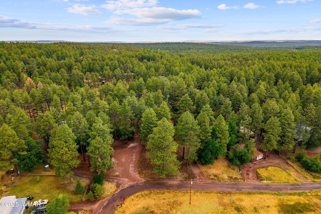 2444 S Jan Ln, Pinetop, AZ 85935 - aerial view of a forest