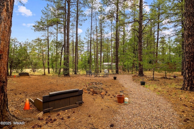 2444 S Jan Ln, Pinetop, AZ 85935 - view of yard