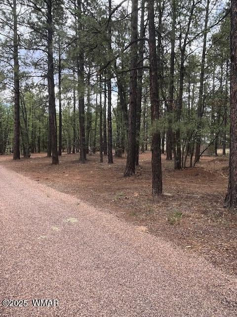 5480 Apache Trl, Pinetop, AZ 85935