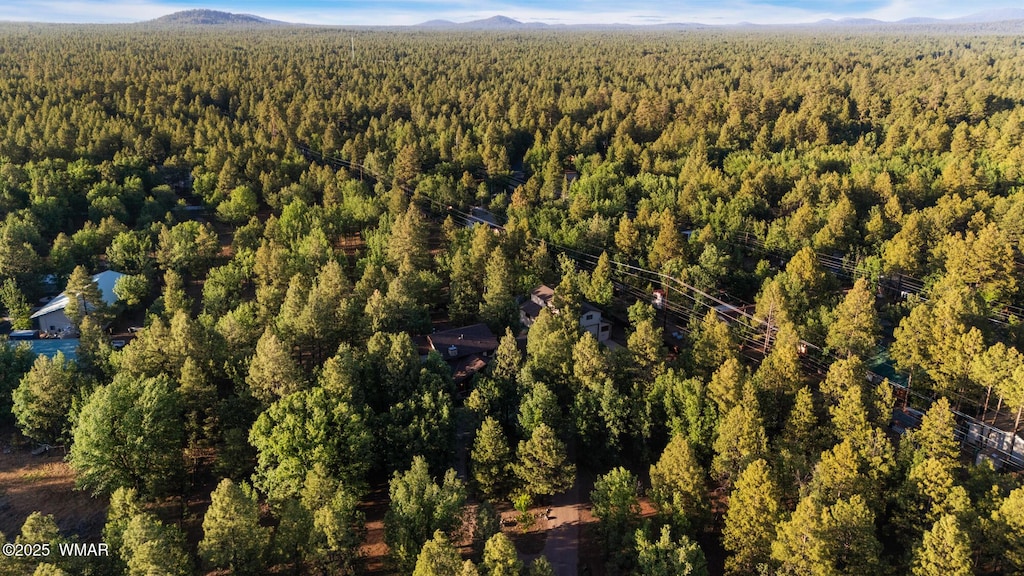 5480 Apache Trl, Pinetop, AZ 85935