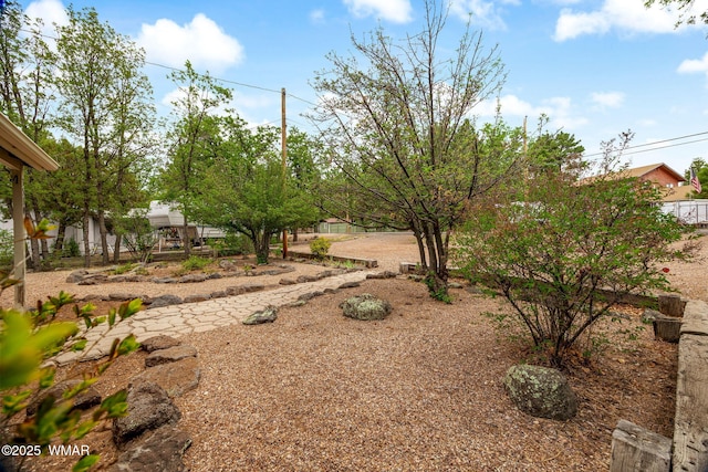 3510 Sunset Ln, Lakeside, AZ 85929 - view of yard