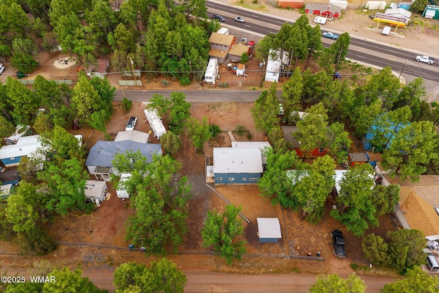 3510 Sunset Ln, Lakeside, AZ 85929 - aerial view of residential area