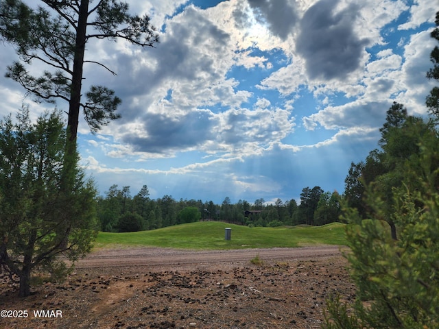 4311 W Hawthorn Rd, Show Low, AZ 85901