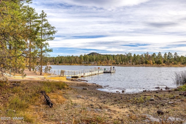 view of dock with a water view and a view of trees