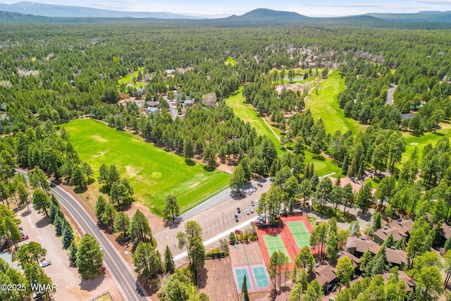 drone / aerial view with a mountain view and a view of trees