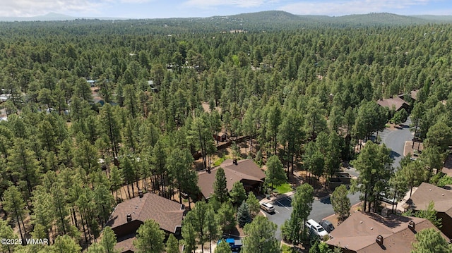 491 S Spirea Ln, Show Low, AZ 85901 - photo 1