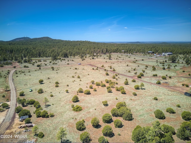 Listing photo 3 for 8A Lone Horseman, Lakeside AZ 85929