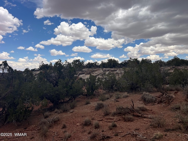 9133 Ridge View Ln, Snowflake, AZ 85937