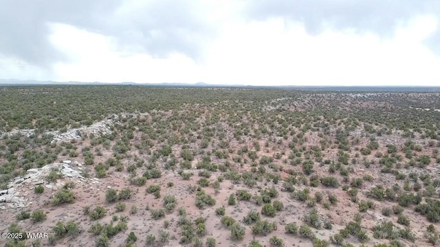 9133 Ridge View Ln, Snowflake, AZ 85937