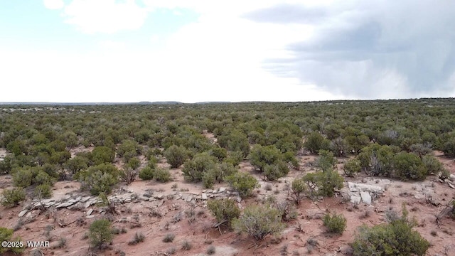 9133 Ridge View Ln, Snowflake, AZ 85937